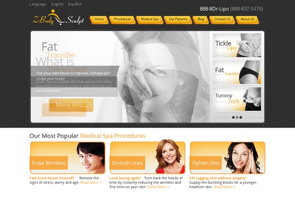 WordPress website example screenshot