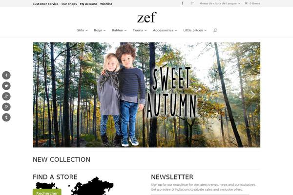 zef.eu site used Zef-taengo