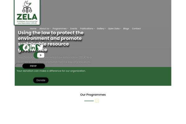 zela.org site used Crowdngo
