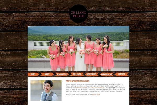WordPress website example screenshot