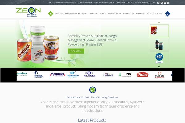 WordPress website example screenshot