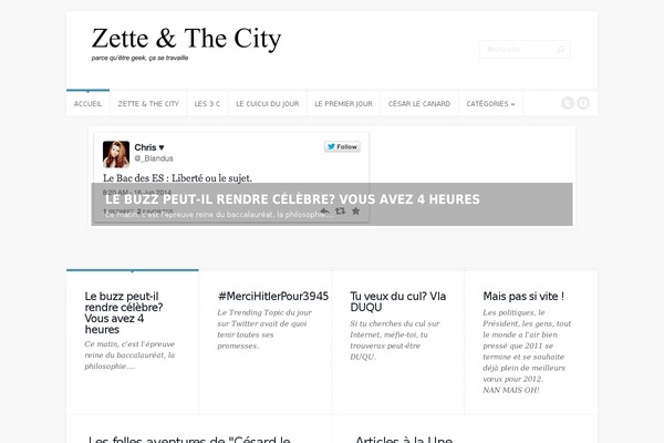 zetteandthecity.fr site used Rara Academic