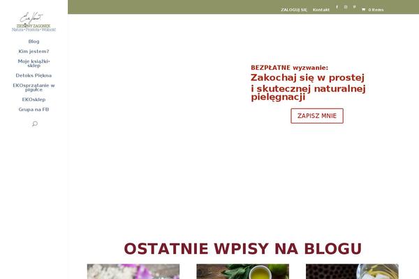 Site using Wp-tiktok-feed plugin