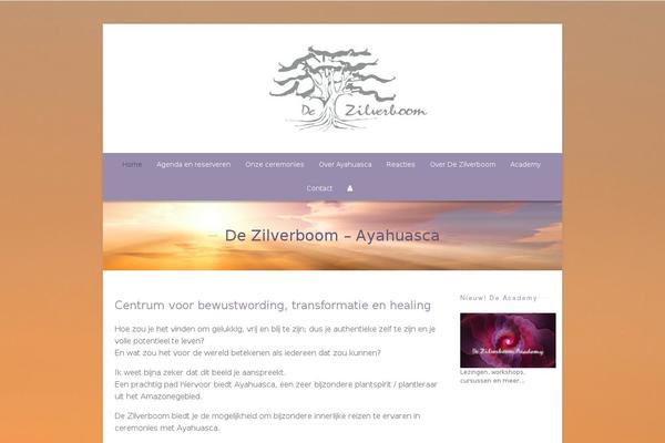 zilverboom.nl site used Zilverboom