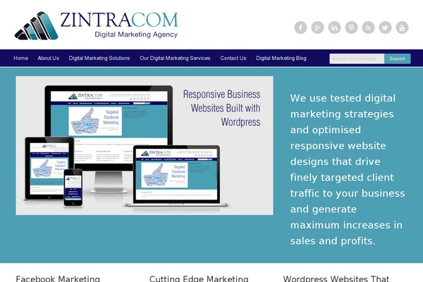 WordPress website example screenshot
