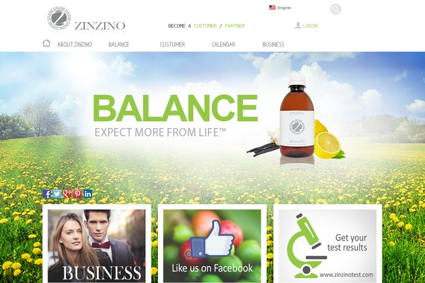 zinzino theme websites examples