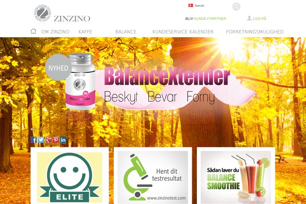 zinzino.dk site used Zinzino