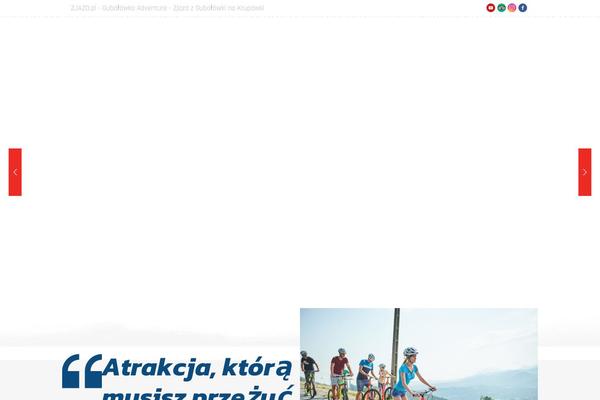 Site using Polylang plugin