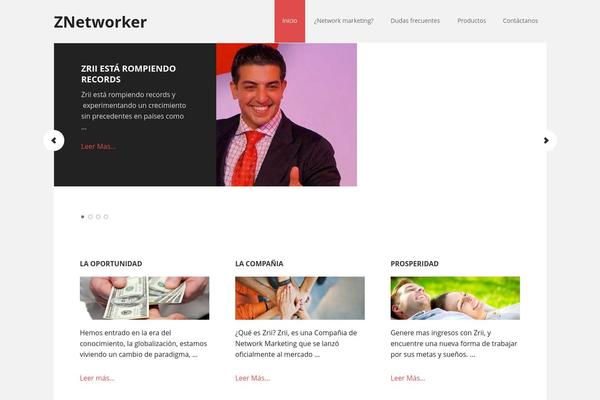 znetworker.com site used Executive Pro Theme