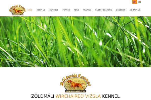 zoldmali.hu site used Avada