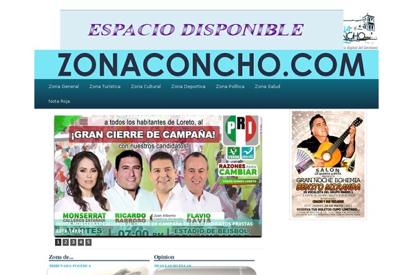 zonaconcho.com site used Zonaconcho