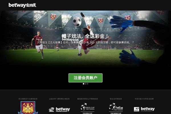 zonaducha.com site used Wittukgroup