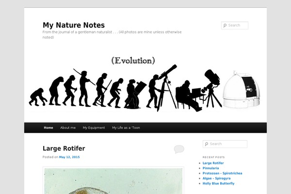 Twenty Eleven theme site design template sample