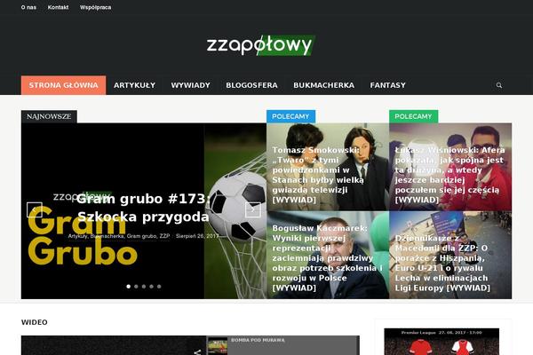 zzapolowy.com site used Domino